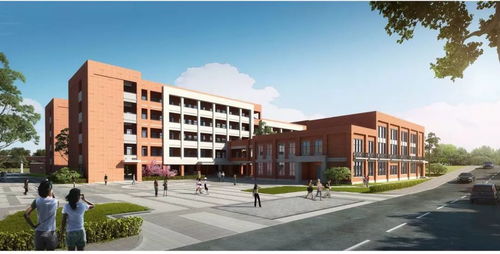 廈門(mén)市新建學(xué)校概覽與海口市英才小學(xué)簡(jiǎn)介