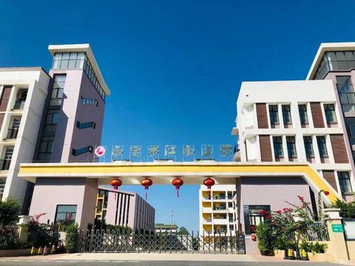 2021年榮和公園童子軍暑期集訓(xùn)營(yíng)在海口市英才小學(xué)開(kāi)營(yíng)